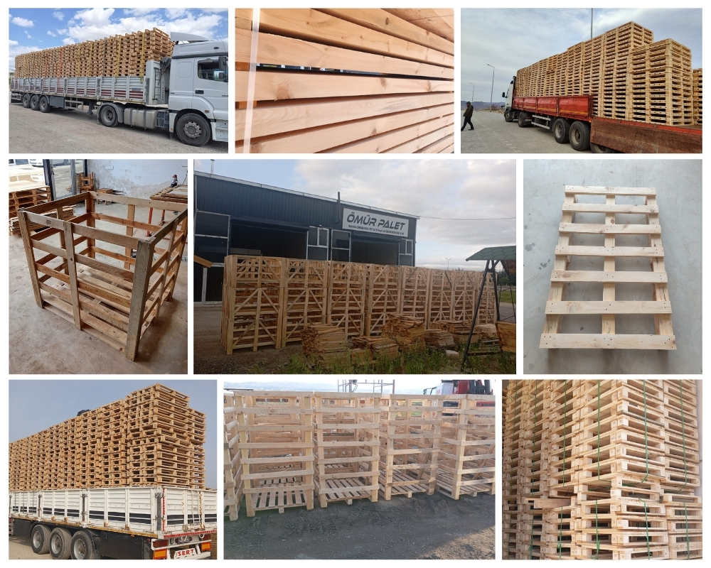 Buckland Monachorum Wooden Pallets, Buy Wooden Pallets Wholesale